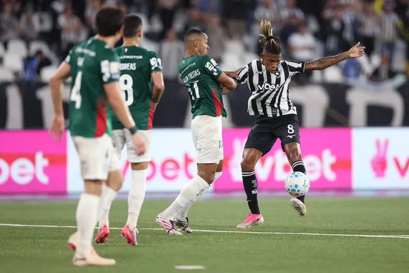 Botafogo segura o Palmeiras e volta a pontuar após três derrotas
