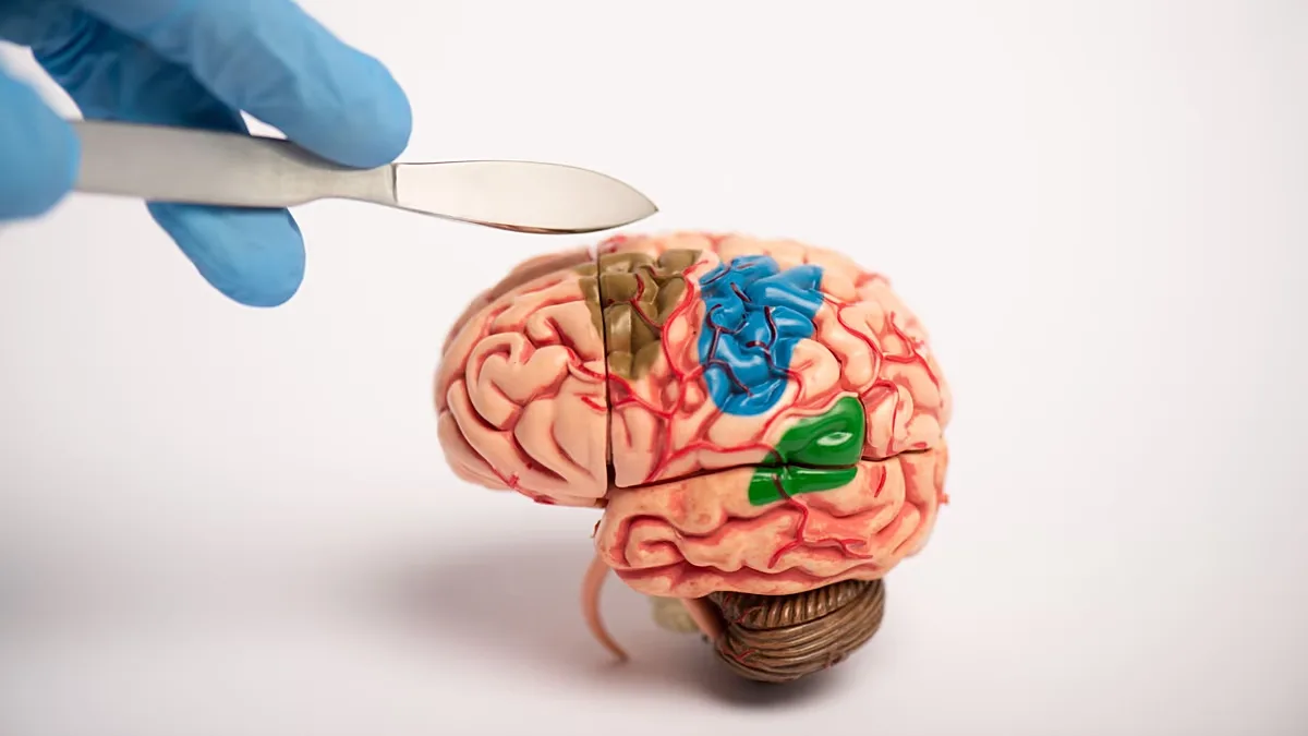 Traumas cerebrais podem desencadear efeitos distintos conforme a idade