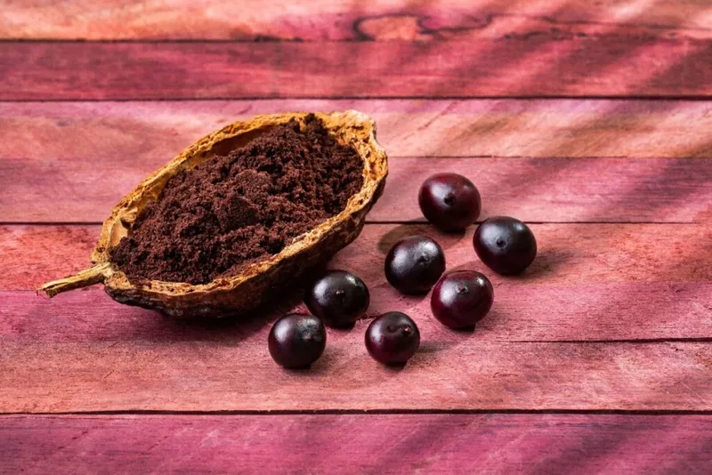 Minirrede solar abre caminho para processamento de açaí no Amazonas