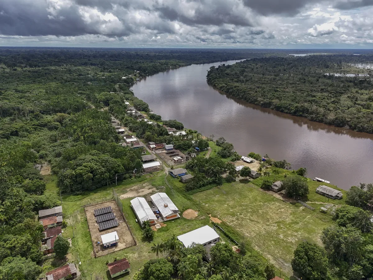 Energia solar fortalece processamento de açaí em reserva no Amazonas