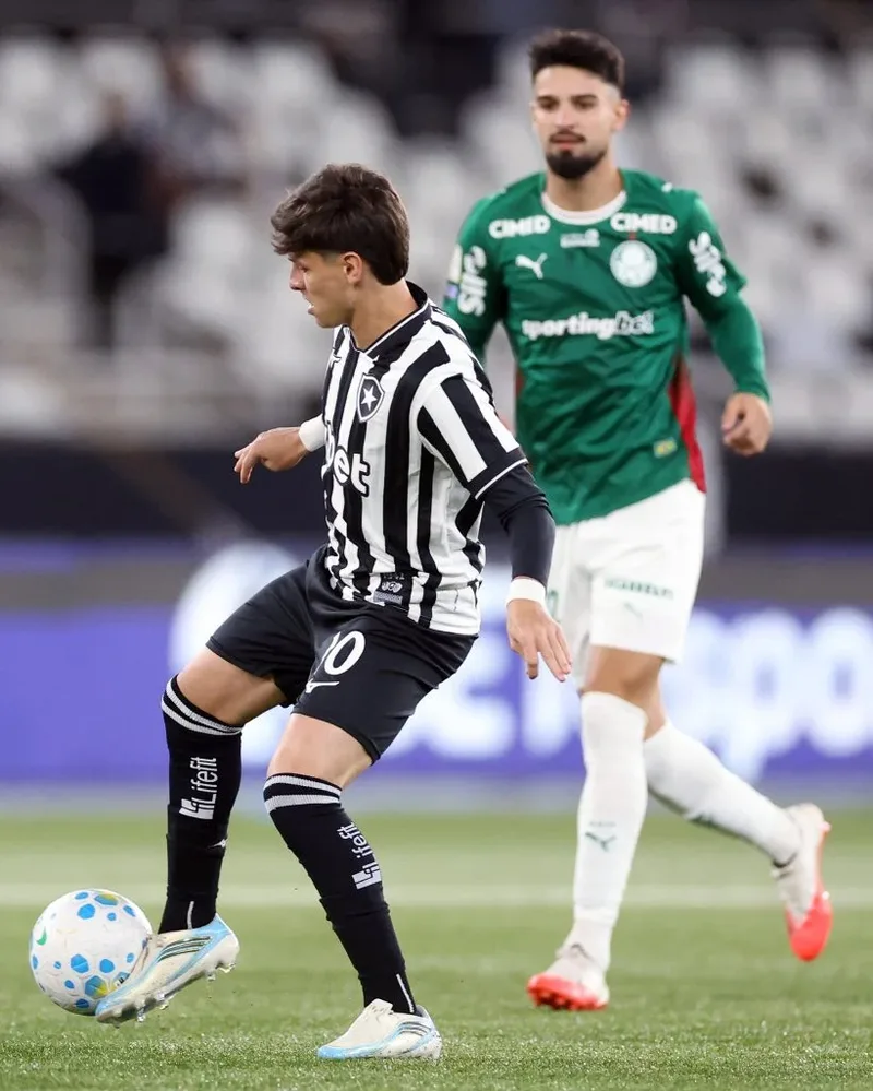 Botafogo empata sem gols com o Palmeiras e volta a pontuar no Brasileirão
