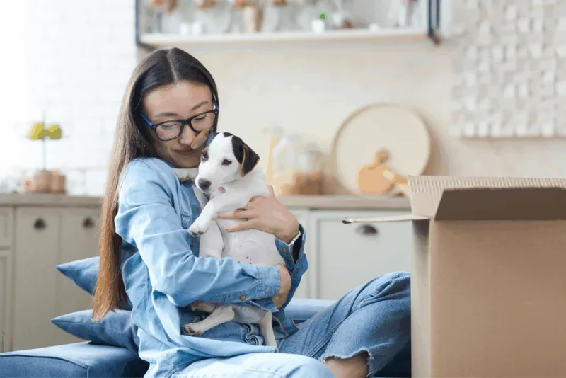 Como cães e gatos desenvolvem vínculos com as pessoas da casa