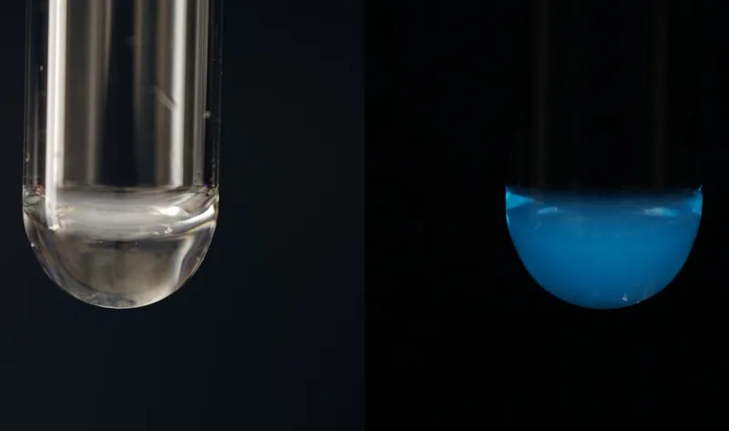 Luciferase de pena-do-mar funciona em temperaturas de até 2°C
