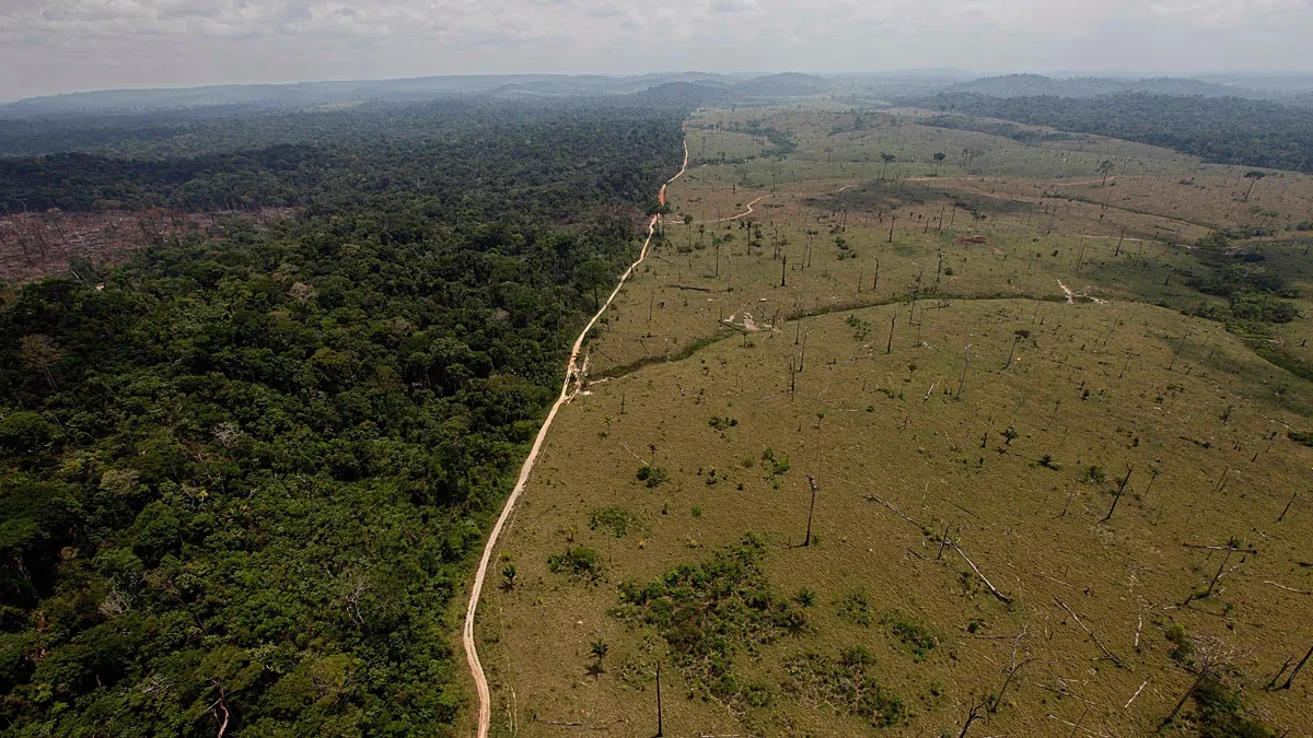 Estudo reúne 51 soluções para acelerar a recuperação do clima e da natureza