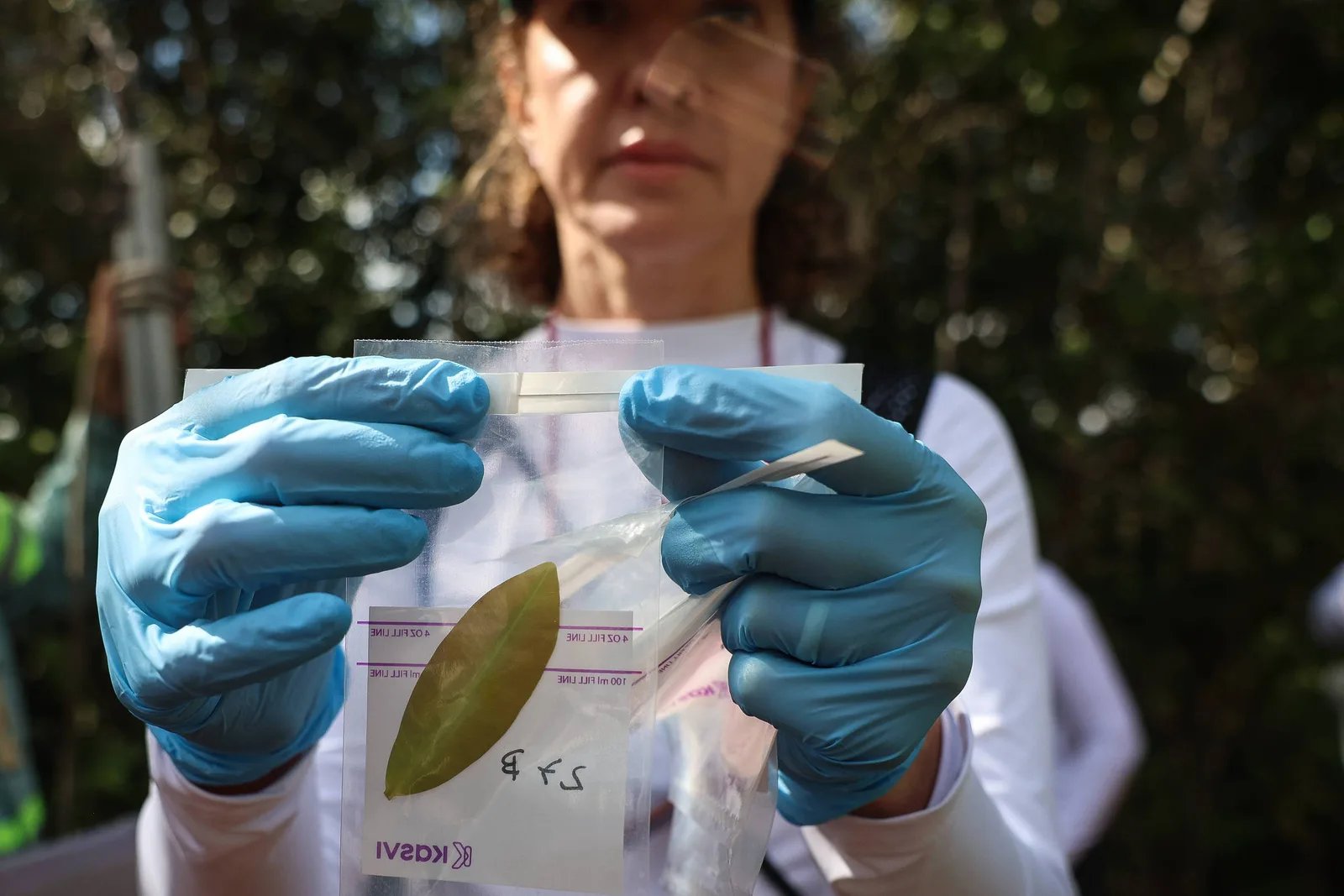 Banco de microrganismos reúne amostras da biodiversidade brasileira