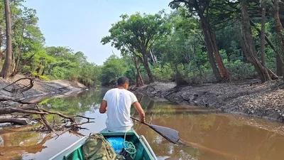 Estudo identifica avanço acelerado de calor e seca no centro-norte amazônico