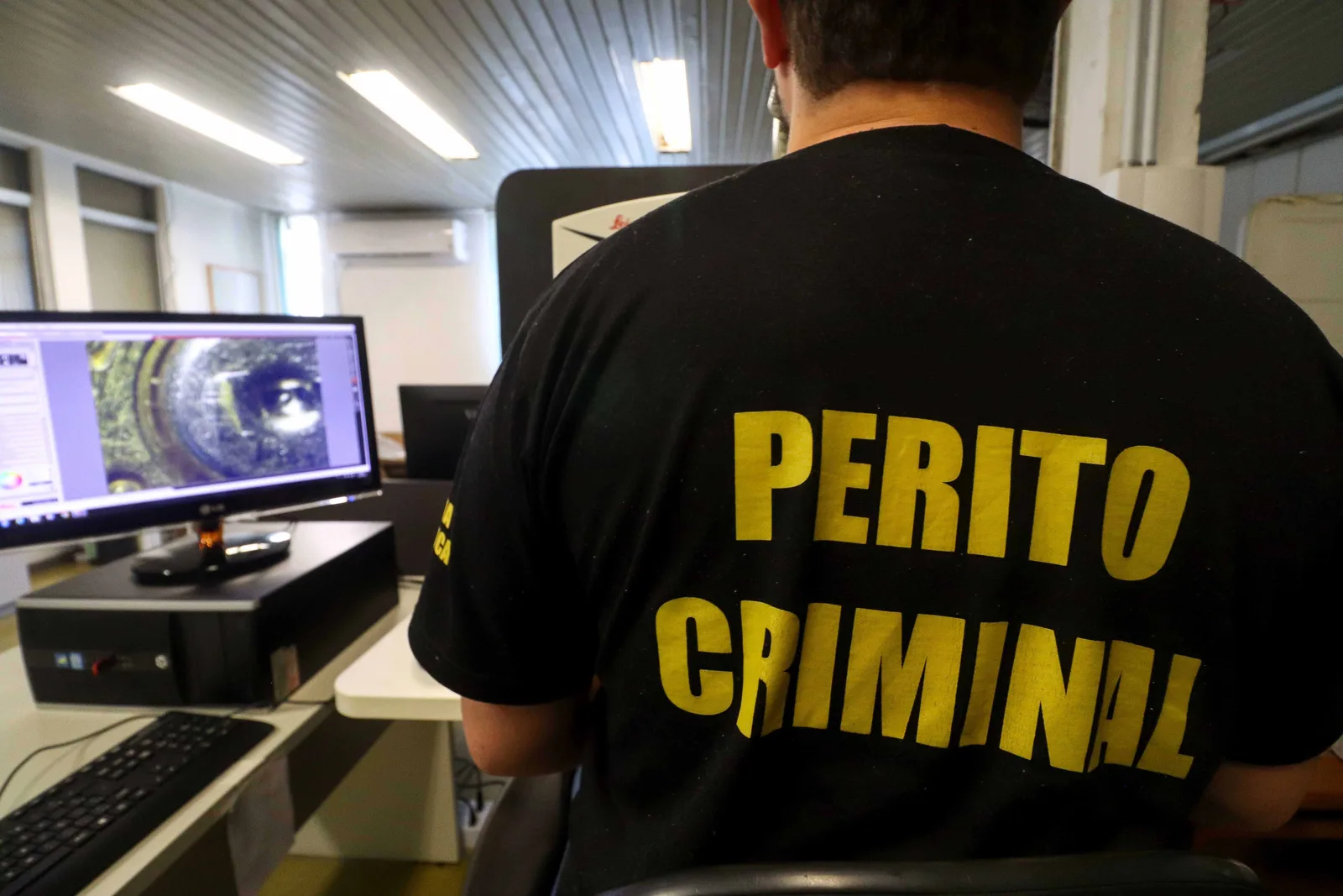 Como a ciência combina ossos, dentes e dados para identificar desaparecidos