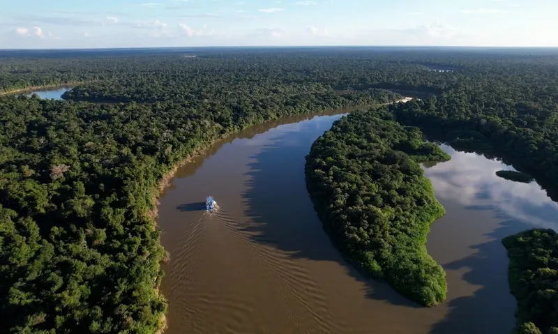 Desmatamento ameaça o sistema de chuvas da Amazônia, alertam pesquisadoras